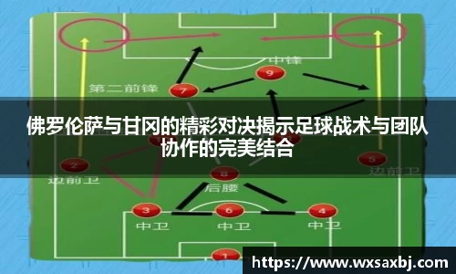 YY体育